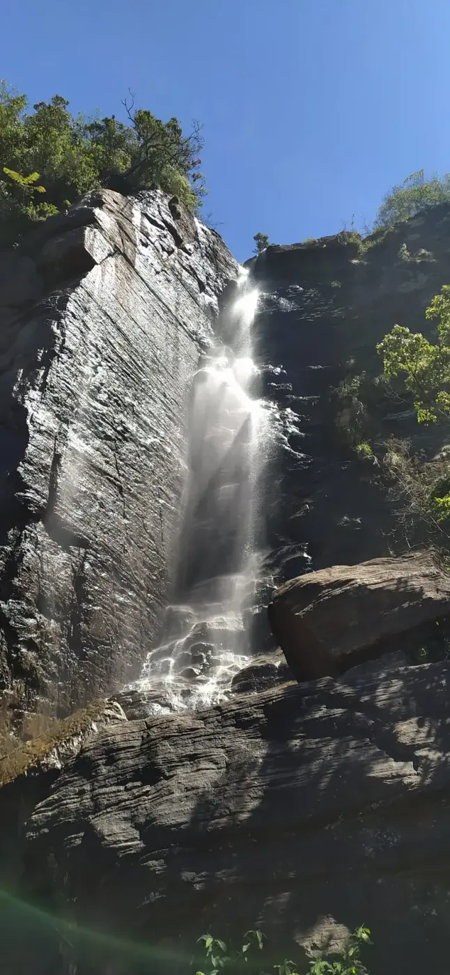 A tall waterfall falling through the hill country forest