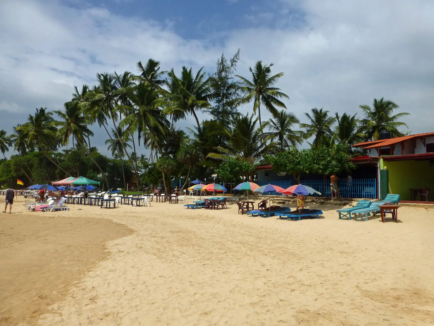 The palm-backed bay at Mirissa
